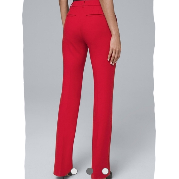NWT (sz 6)WHBM Bootcut Dress Pants - Picture 2 of 12